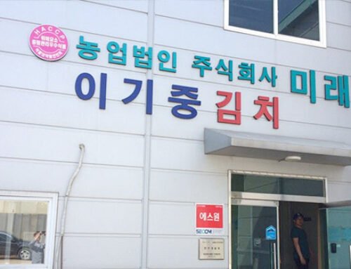 농업회사법인 미래 ㈜ 이기중 김치